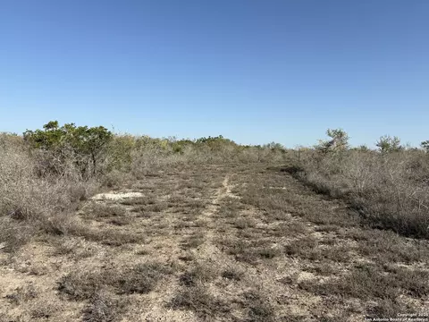 Tr102 Frontier A Rd, Freer, TX 78357 photo 7