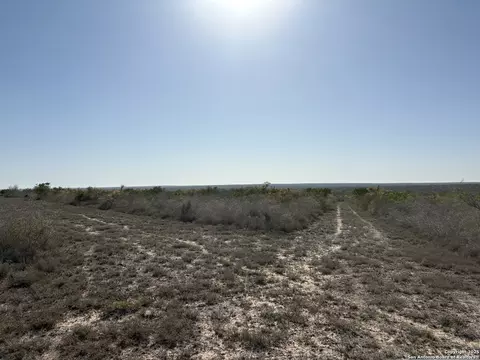 Tr102 Frontier A Rd, Freer, TX 78357 photo 8