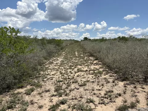 Tr102 Frontier A Rd, Freer, TX 78357 photo 10