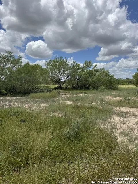 10 Windmill Ranchettes Cr 329, Jourdanton, TX 78026