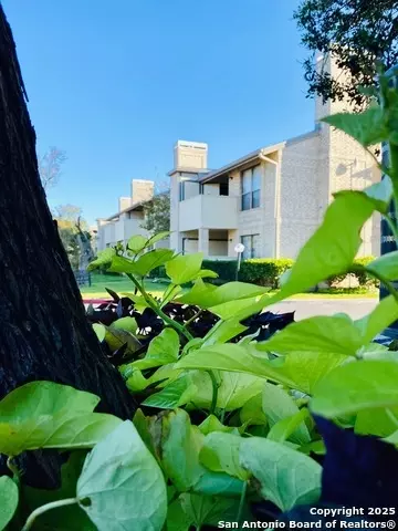11843 Braesview #1516, San Antonio, TX 78213