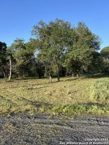 108 Timber, La Vernia, TX 78121