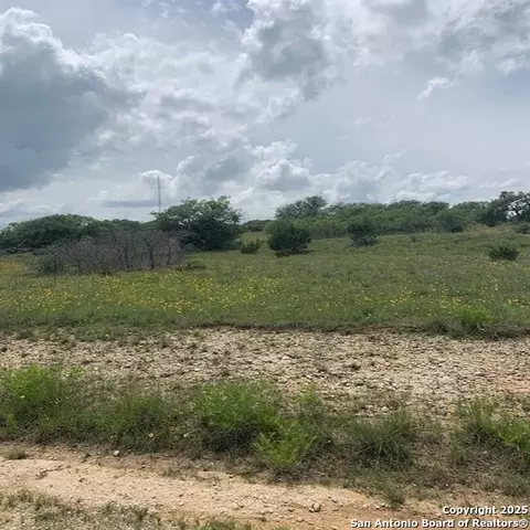 102 William Tobin, Blanco, TX 78606 photo 15