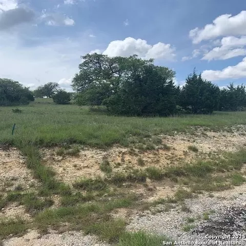 102 William Tobin, Blanco, TX 78606 photo 18
