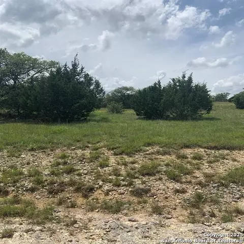 102 William Tobin, Blanco, TX 78606 photo 17
