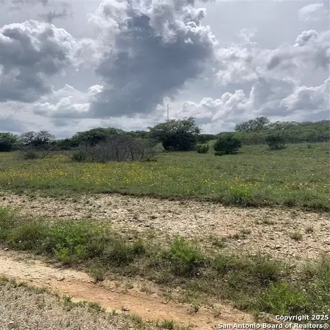 102 William Tobin, Blanco, TX 78606 photo 14