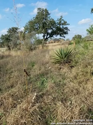 lot102 Pr 3702 Pr 3702, San Antonio, TX 78253