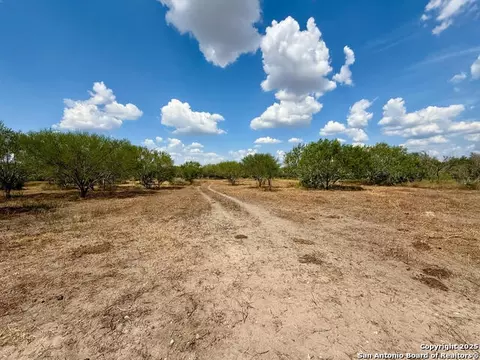 tbd 15- Acres County Road 157, Kenedy, TX 78119