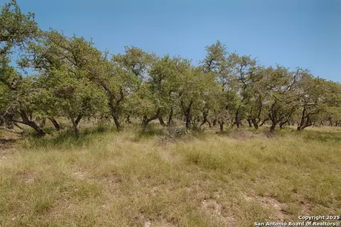 379 Bent Tree, Harper, TX 78631