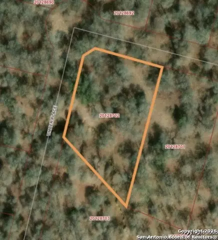 216 Timber Pl, La Vernia, TX 78121