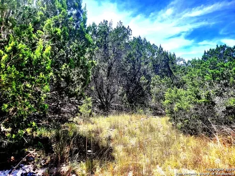 1680 Stallion Springs Dr, Fischer, TX 78623