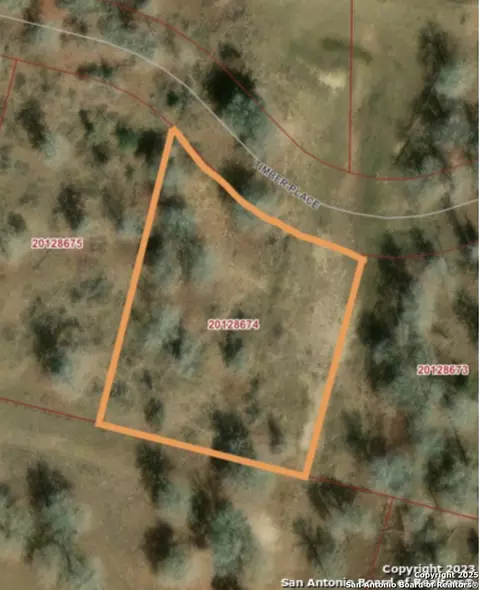 157 Timber Pl, La Vernia, TX 78121