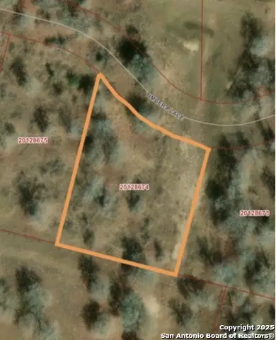 157 Timber Pl, La Vernia, TX 78121