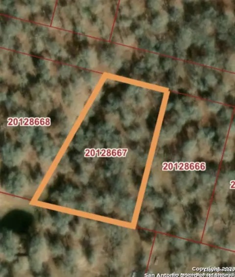 129 Timber Pl, La Vernia, TX 78121