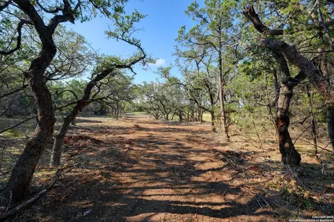 Tract 1 Pierson Road, Blanco, TX 78606