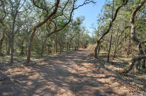 Tract 2 Pierson Road, Blanco, TX 78606