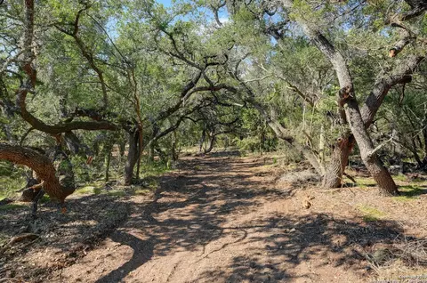 Tract 4 Pierson Road, Blanco, TX 78606
