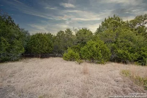 1055 Cielo Springs Dr, Blanco, TX 78606