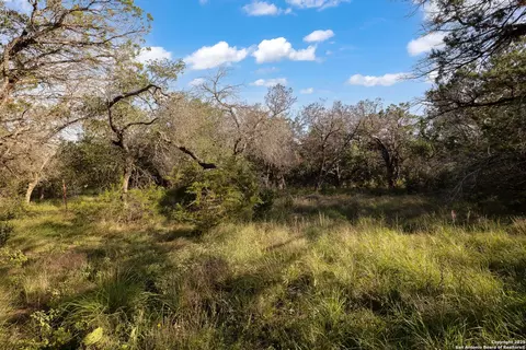 1060 Forest View Dr, Blanco, TX 78606 photo 23