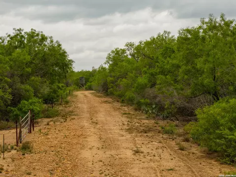 10 Fm 1581, Pearsall, TX 78061