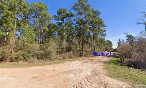 lot16 Mayhaw Ln, Plantersville, TX 77363