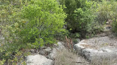 9852 Marnoch Rd, Helotes, TX 78023 photo 17