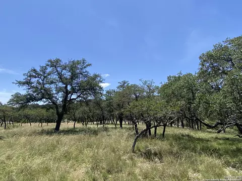 208 Saddle Wood, Comfort, TX 78013