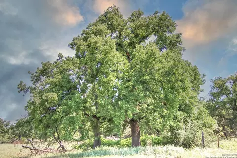 tbd Rm 1323, Willow City, TX 78675