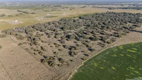 000 County Road 777, Devine, TX 78016 photo 2