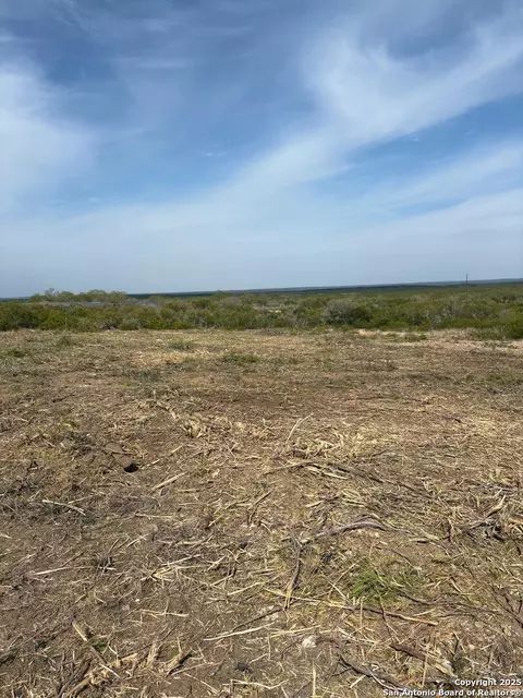 3272 County Road 1515, Moore, TX 78057