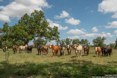6887 Von Ormy, Von Ormy, TX 78073 photo 39