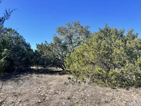 422 Eider Cv, Spring Branch, TX 78070 photo 5