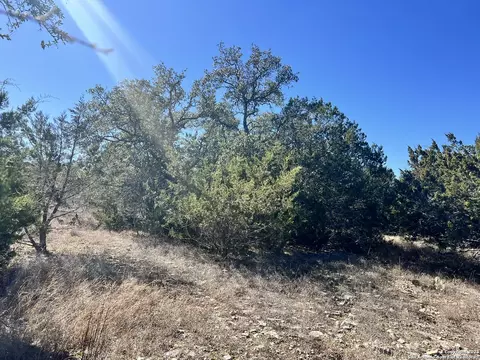 422 Eider Cv, Spring Branch, TX 78070 photo 6