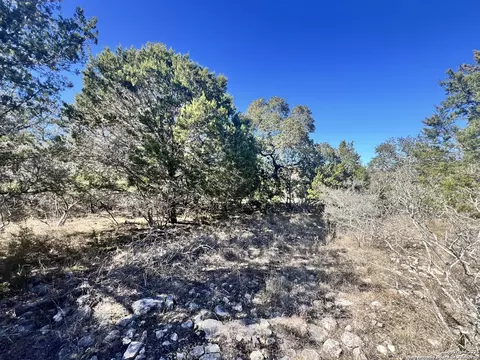 422 Eider Cv, Spring Branch, TX 78070 photo 9