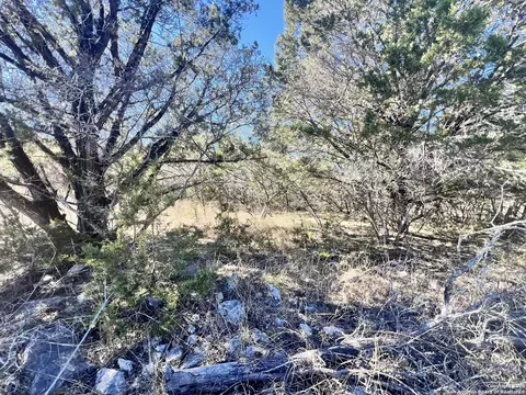 422 Eider Cv, Spring Branch, TX 78070 photo 10