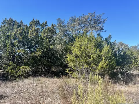 422 Eider Cv, Spring Branch, TX 78070 photo 3
