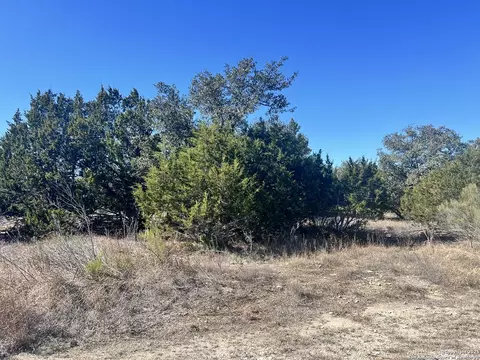 422 Eider Cv, Spring Branch, TX 78070 photo 4