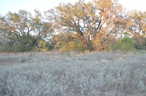 Other - 1219 County Road 761, Devine, TX 78016 photo 9 of 11