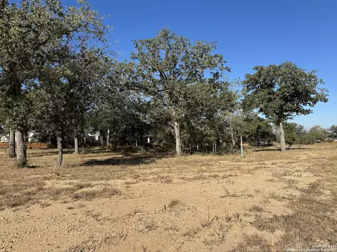 132 Chinaberry Hl, La Vernia, TX 78121