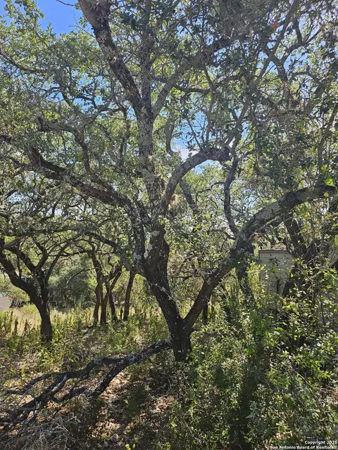 1437 Trailridge Dr, Canyon Lake, TX 78133
