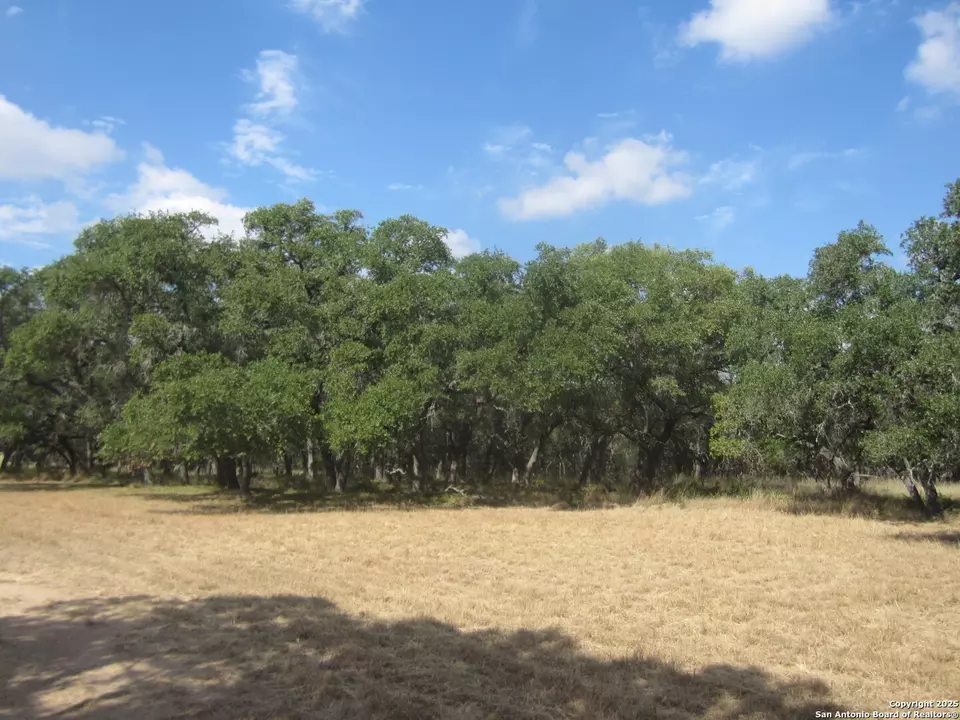  1318 Oak Ridge Ln, Pipe Creek, TX 78063 photo 4