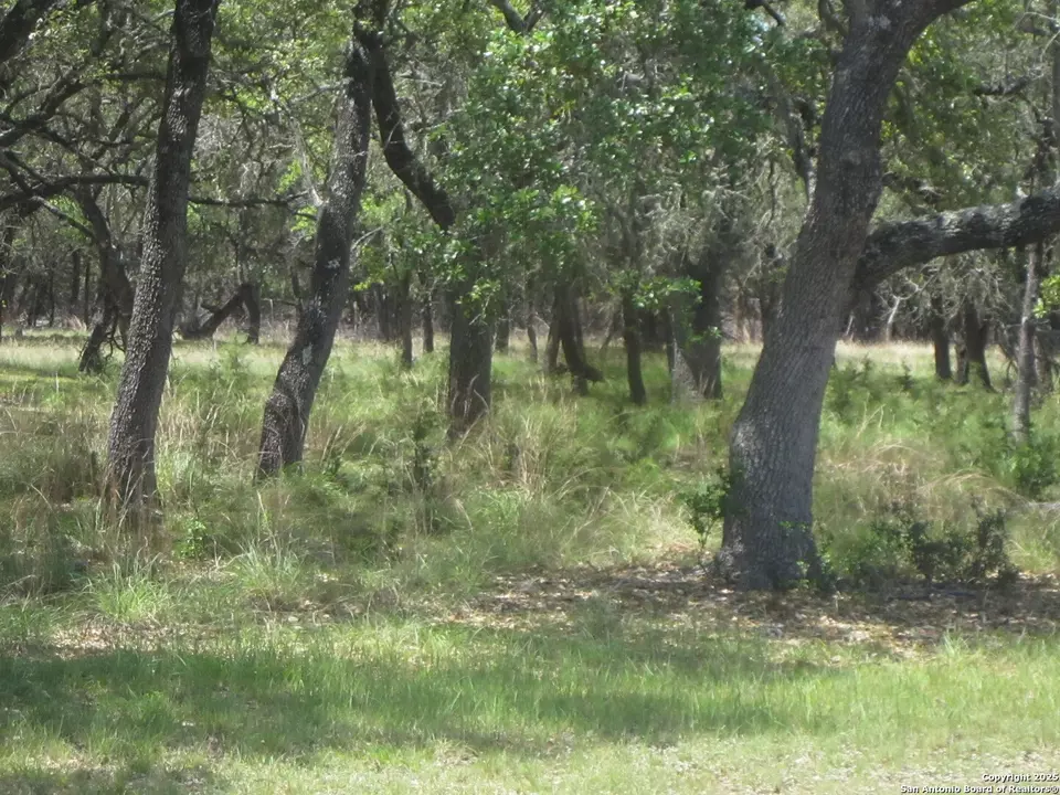  1318 Oak Ridge Ln, Pipe Creek, TX 78063 photo 37