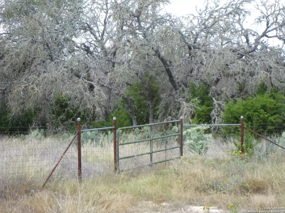  1318 Oak Ridge Ln, Pipe Creek, TX 78063 photo 32