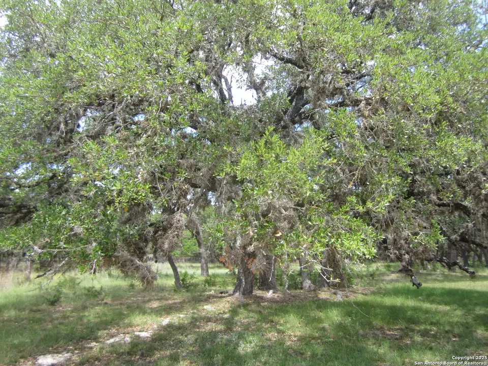  1318 Oak Ridge Ln, Pipe Creek, TX 78063 photo 40