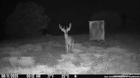tbd Sd 45453, Rocksprings, TX 78880