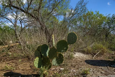 Other - 14350 Interstate 35, Von Ormy, TX 78073 photo 12 of 24