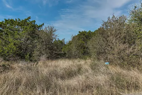 lot229 Cr 2748, Mico, TX 78056