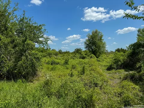 000 Deer Run Trce, Three Rivers, TX 78071