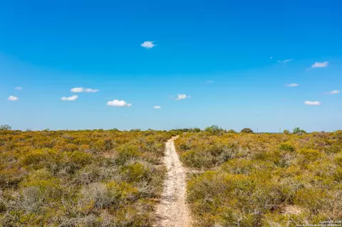 840 County Road 652, Devine, TX 78016 photo 7