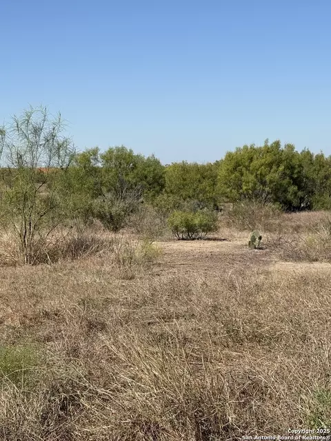 1446 County Road 332, Charlotte, TX 78011